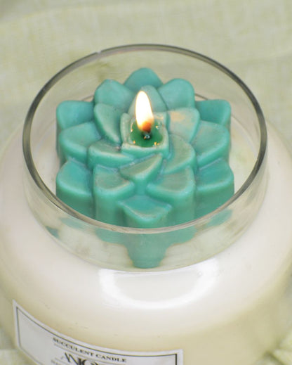 Rose Scented Succulent Soy Wax Jar Candle | 5 x 4 inches