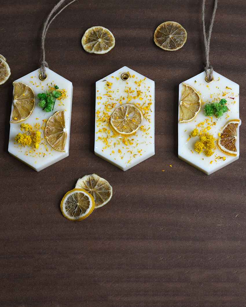 Zesty Lemon Scented Hexa Wax Sachets | Set of 3 | 4 x 2 inches