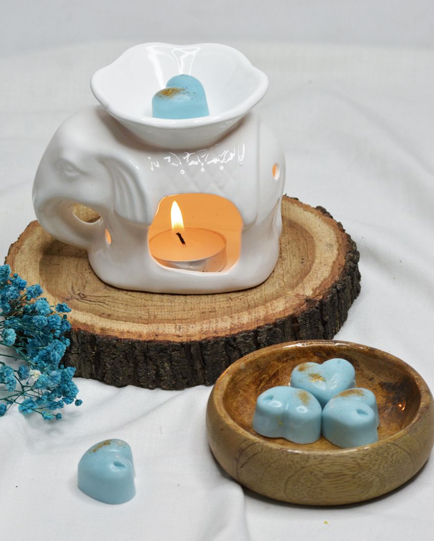 Ocean Breeze Scented Heart-Shaped Wax Melts | Set of 20