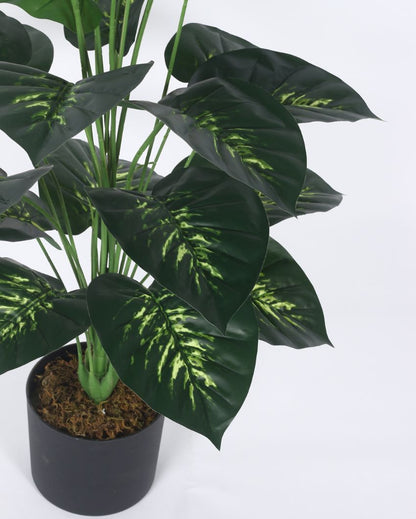 Artificial Dieffenbachia Plastic Plant With Black Pot | 3.2 Feet