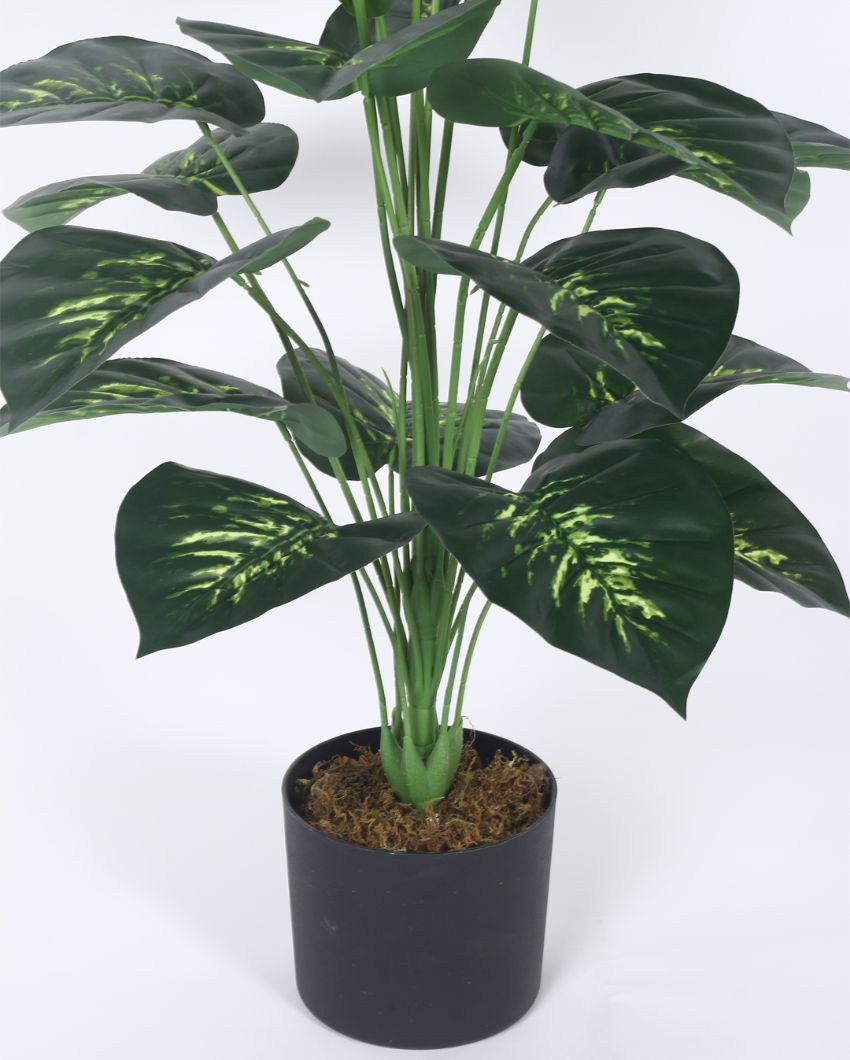 Artificial Dieffenbachia Plastic Plant With Black Pot | 3.2 Feet