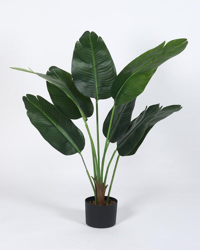 Modern Banana Real Touch Artificial Plant with Black Pot | 4 ft