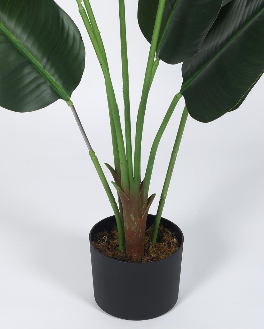 Modern Banana Real Touch Artificial Plant with Black Pot | 4 ft