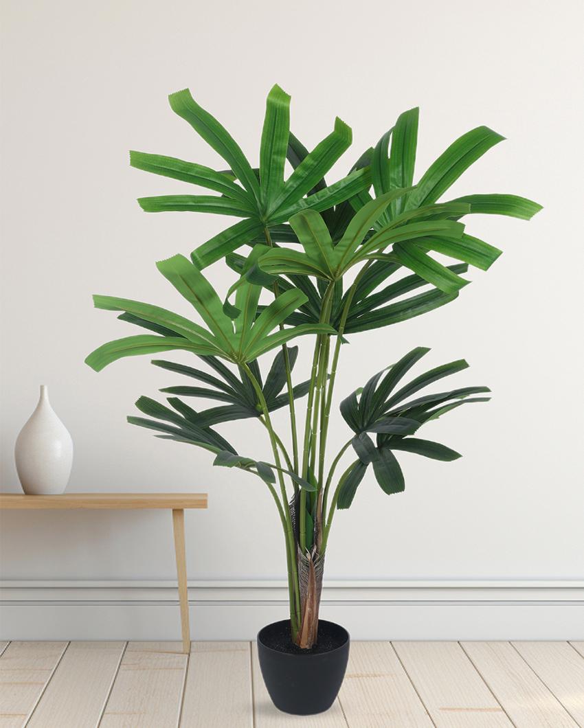 Rabish Palm Artificial Plant with Black Pot | 4 ft