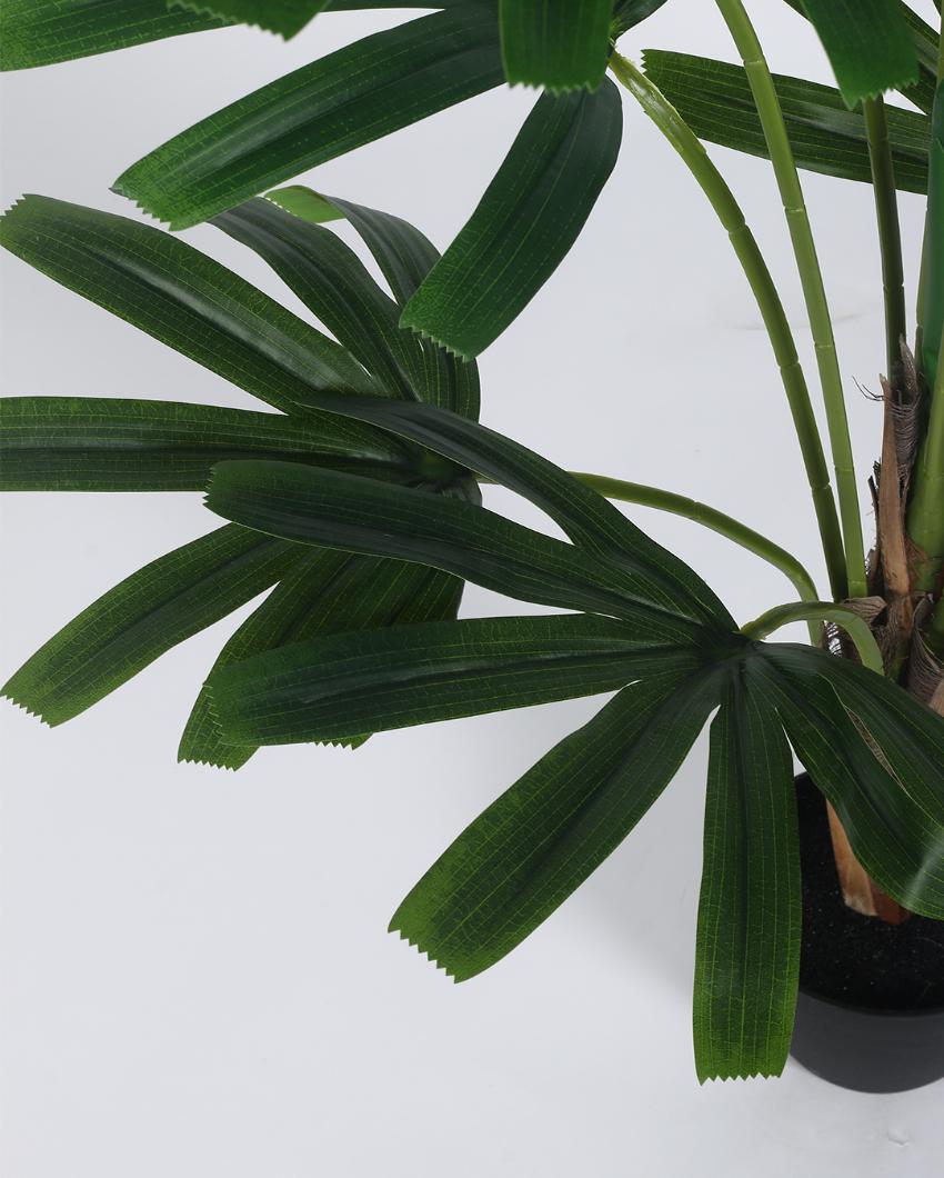 Rabish Palm Artificial Plant with Black Pot | 4 ft