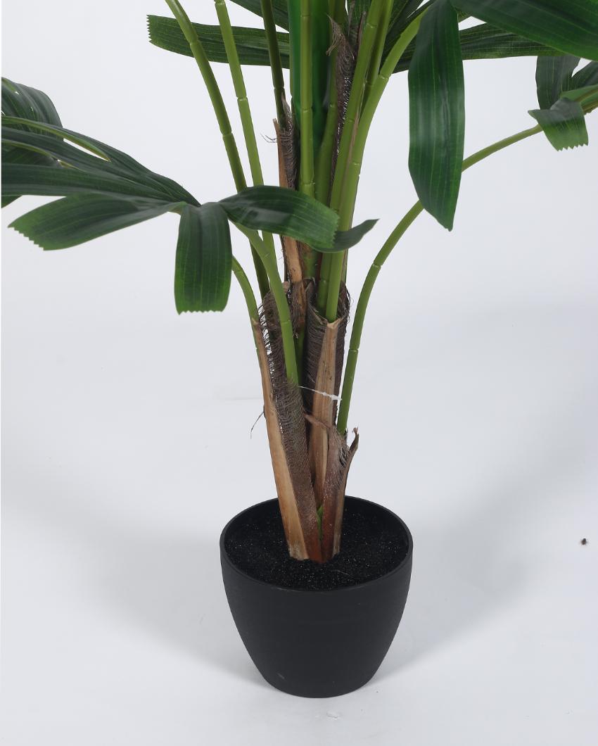 Rabish Palm Artificial Plant with Black Pot | 4 ft