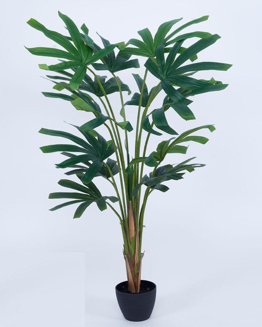 Rabish Palm Artificial Plant with Black Pot | 4 ft