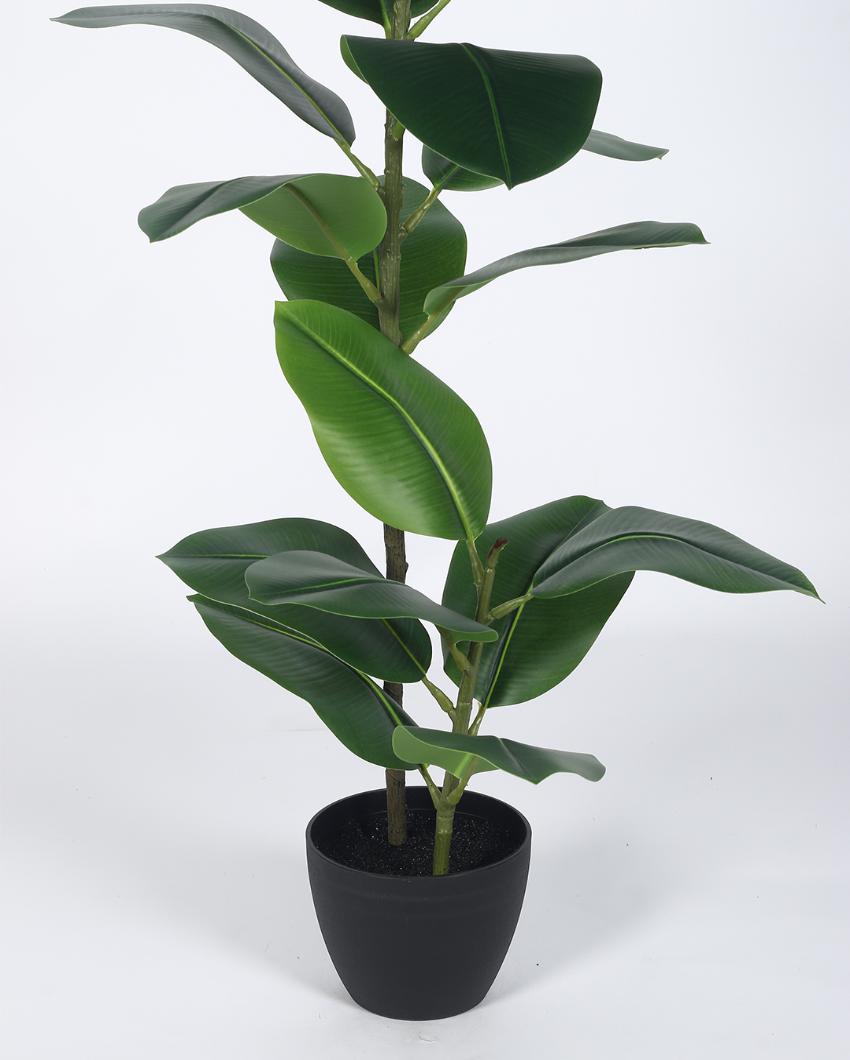 Rubber Real Touch Artificial Plant with Black Pot | 4 ft