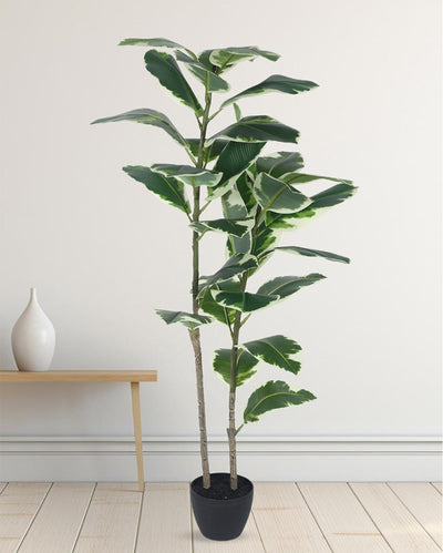 Variegated Fiddle Leaf Real Touch Artificial Plant with Black Pot | 4 ft