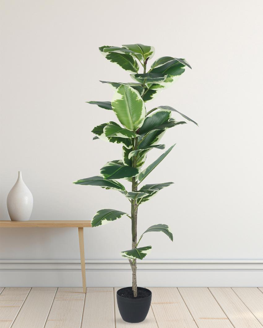 Variegated Fiddle Leaf Real Touch Artificial Plant with Black Pot | 4 ft