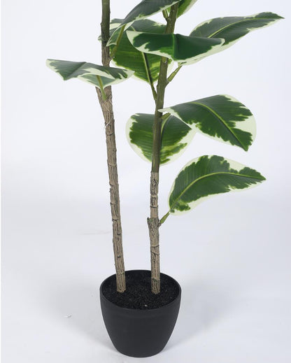 Variegated Fiddle Leaf Real Touch Artificial Plant with Black Pot | 4 ft