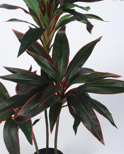 3 Head Dracaena Real Touch Artificial Plant with Black Pot | 4 ft