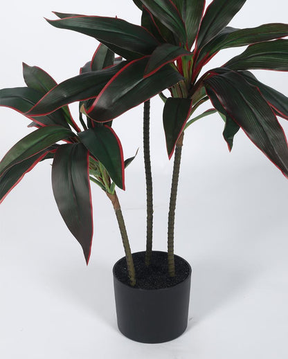 3 Head Dracaena Real Touch Artificial Plant with Black Pot | 4 ft