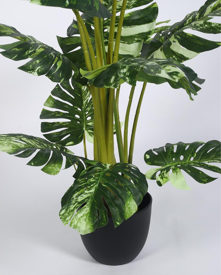 Monstera Real Touch Artificial Plant with Black Pot | 4 ft