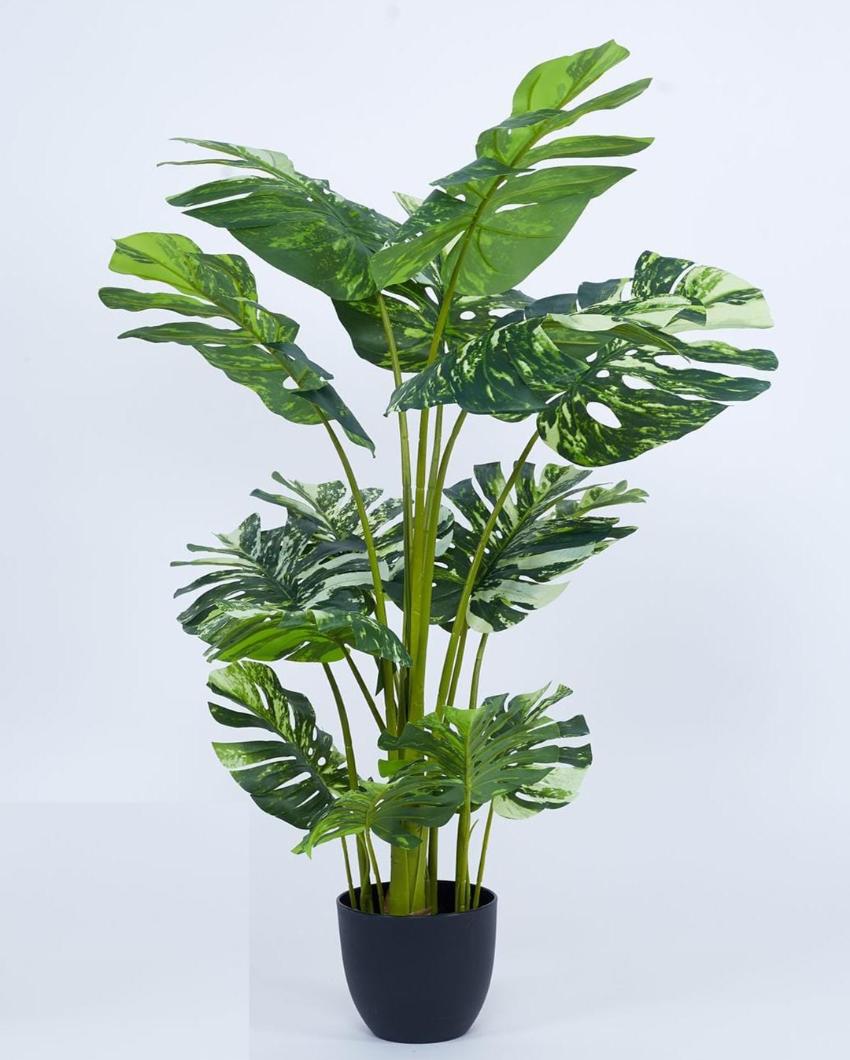 Monstera Real Touch Artificial Plant with Black Pot | 4 ft