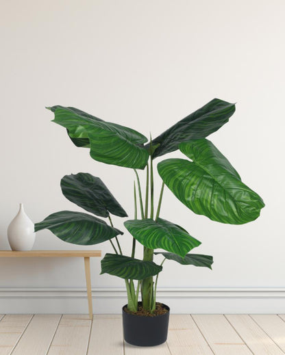 Calathea Artificial Plant with Black Pot | 4 ft