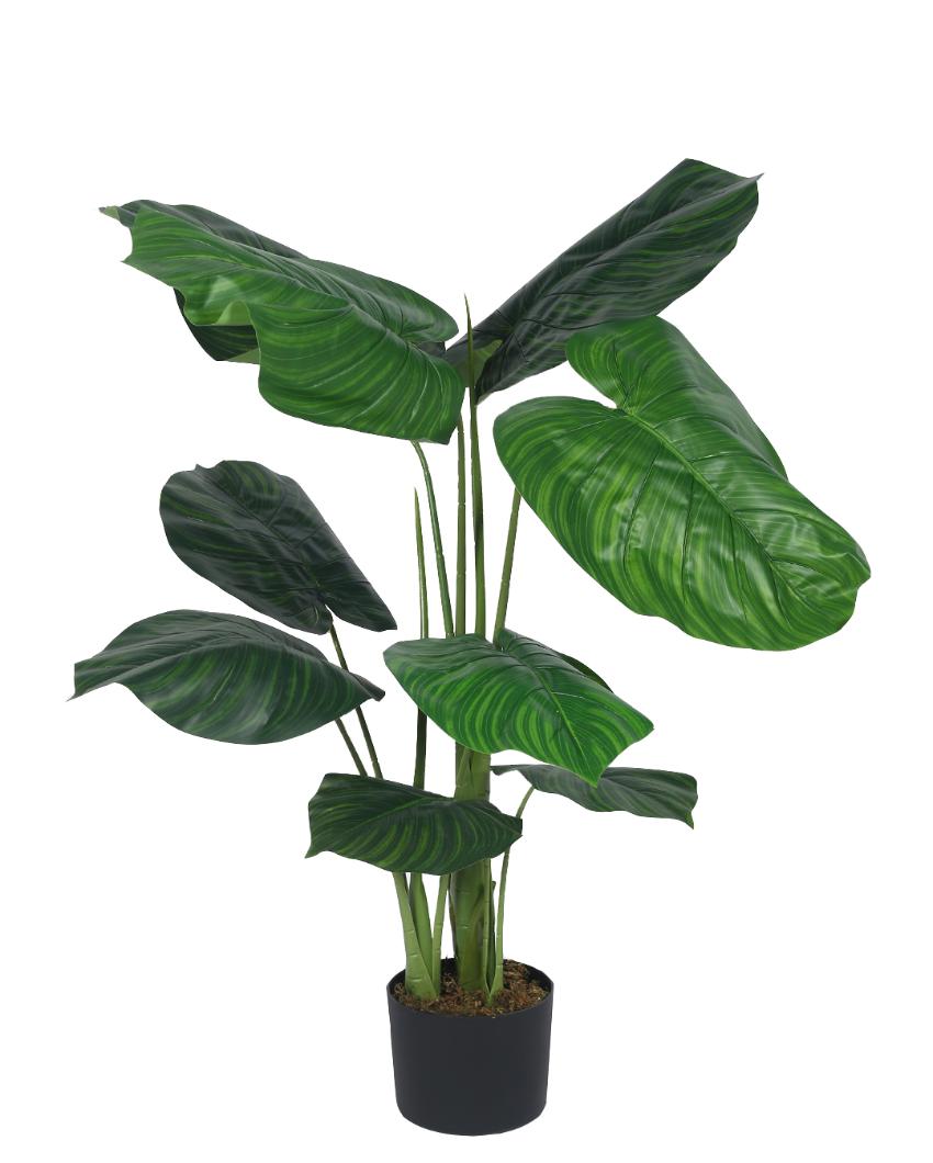 Calathea Artificial Plant with Black Pot | 4 ft