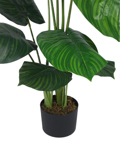 Calathea Artificial Plant with Black Pot | 4 ft