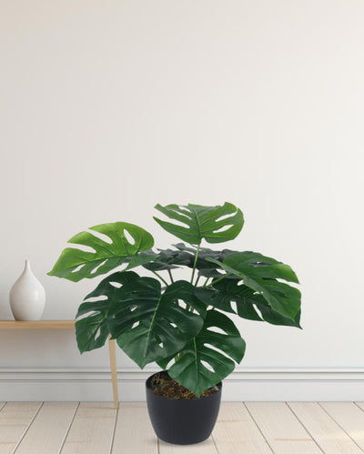 Real Touch Monstera Artificial Plant with Black Pot | 2 ft