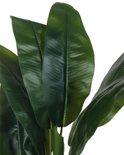 Banana Real Touch Artificial Plant with Black Pot | 5 ft