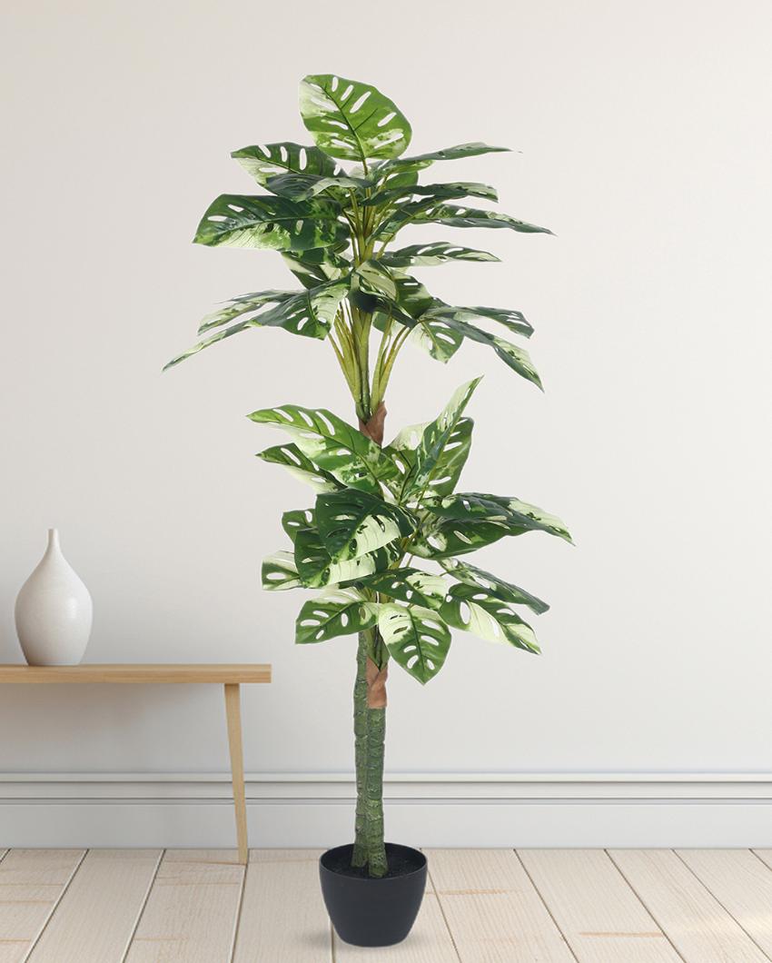 Monstera Artificial Plant with Black Pot | 5 ft