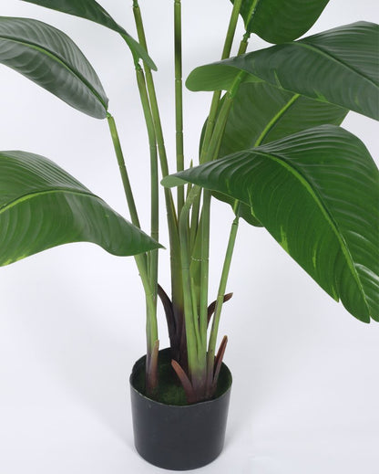 Artificial Bird Of Paradise Plastic Plants Banana With Black Pot