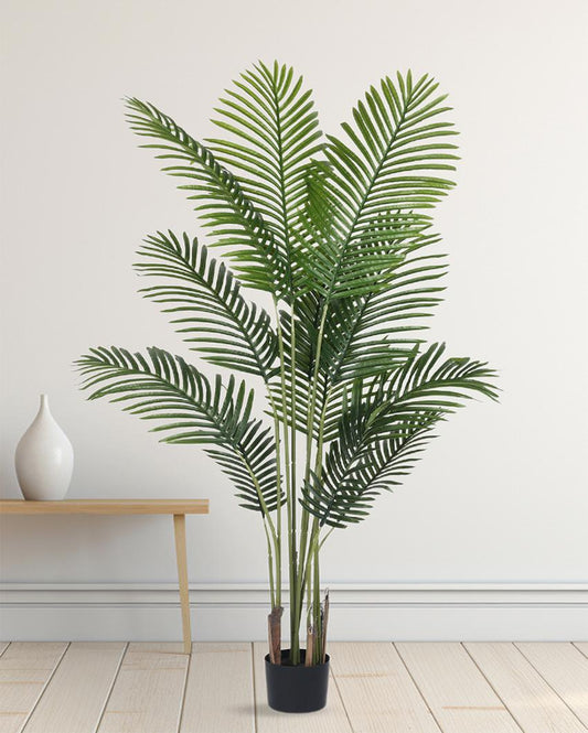 Areca Artificial Plant with Black Pot | 5 ft