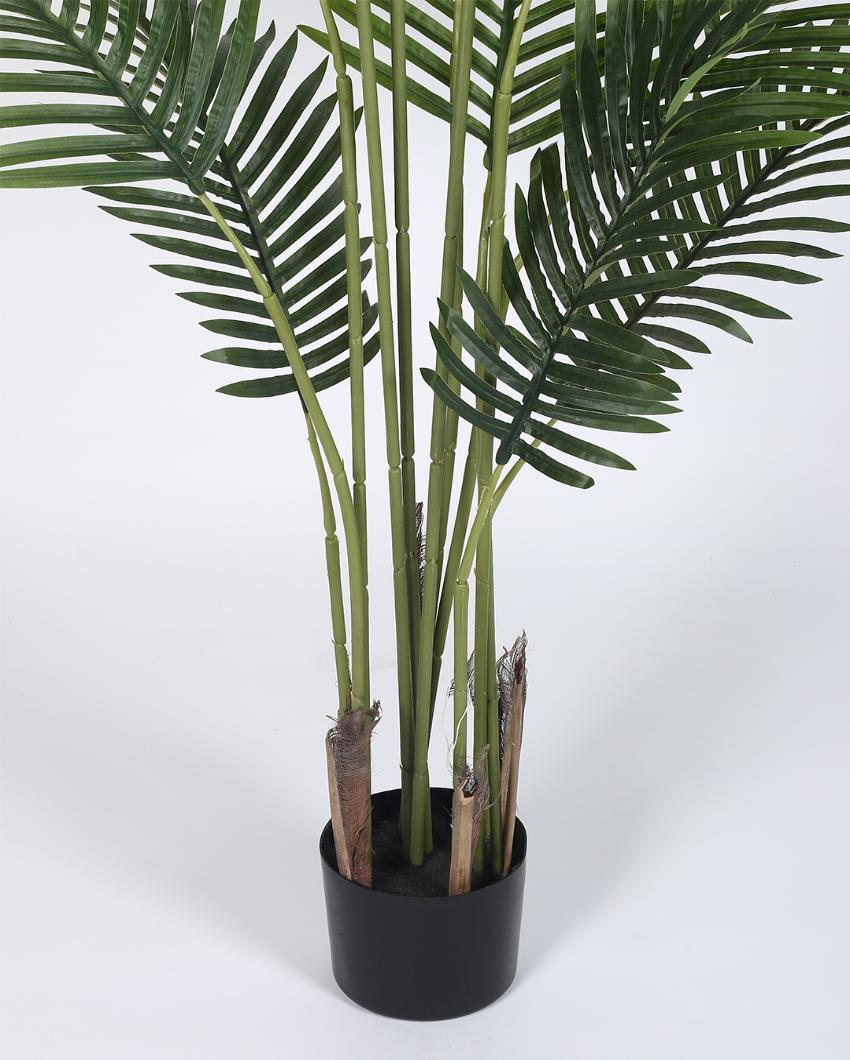 Areca Artificial Plant with Black Pot | 5 ft