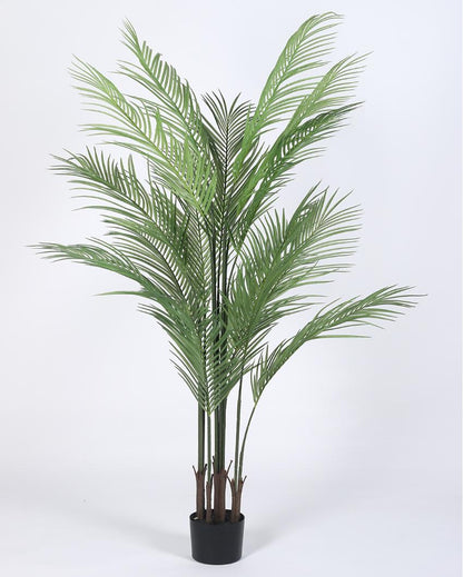 Premium Areca Palm Real Touch Artificial Plant with Black Pot | 5 ft