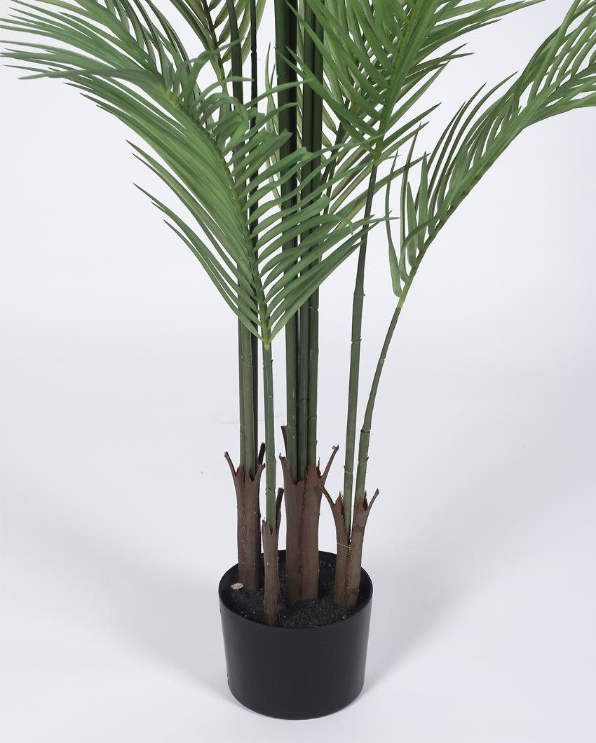 Premium Areca Palm Real Touch Artificial Plant with Black Pot | 5 ft