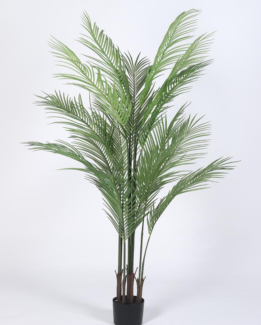 Premium Areca Palm Real Touch Artificial Plant with Black Pot | 5 ft