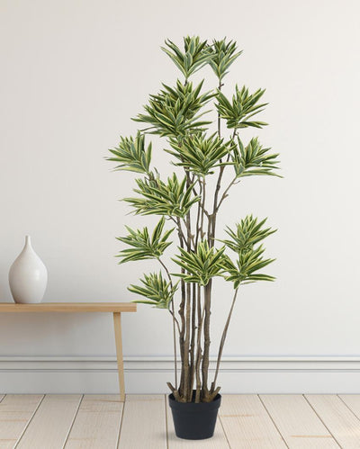 Dracaena Reflexa 15 Head Tree Artificial Plant with Black Pot | 5 ft