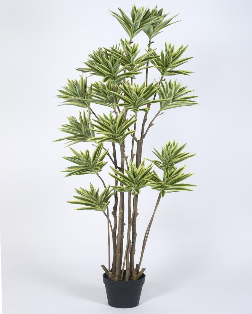 Dracaena Reflexa 15 Head Tree Artificial Plant with Black Pot | 5 ft