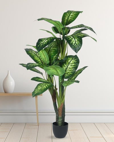 Green Dieffenbachia Artificial Plant with Black Pot | 5 ft