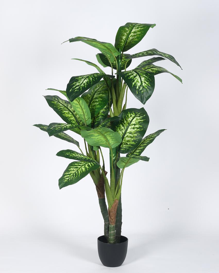 Green Dieffenbachia Artificial Plant with Black Pot | 5 ft