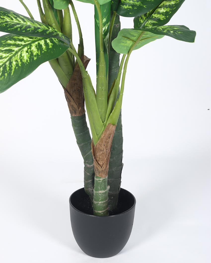 Green Dieffenbachia Artificial Plant with Black Pot | 5 ft