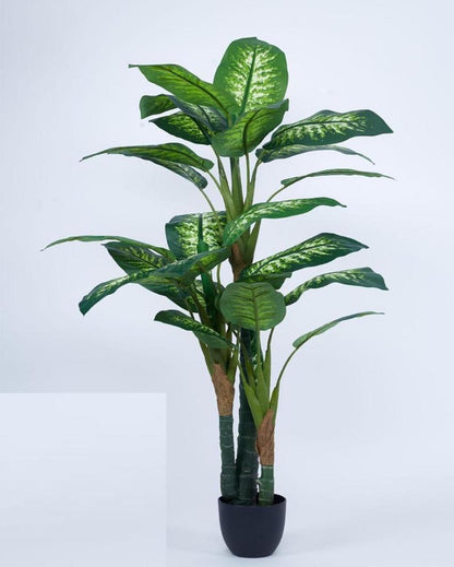 Green Dieffenbachia Artificial Plant with Black Pot | 5 ft