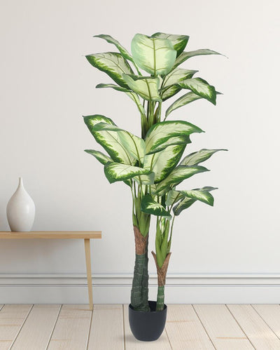 White Dieffenbachia Artificial Plant with Black Pot | 5 ft