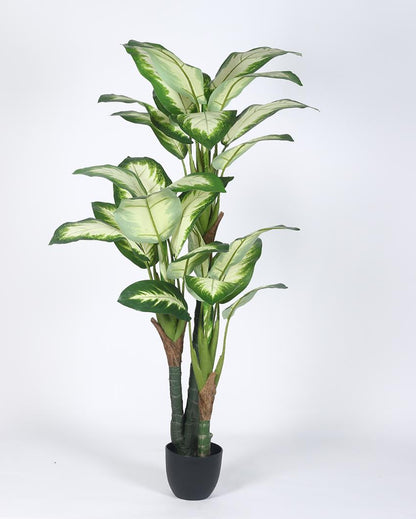 White Dieffenbachia Artificial Plant with Black Pot | 5 ft