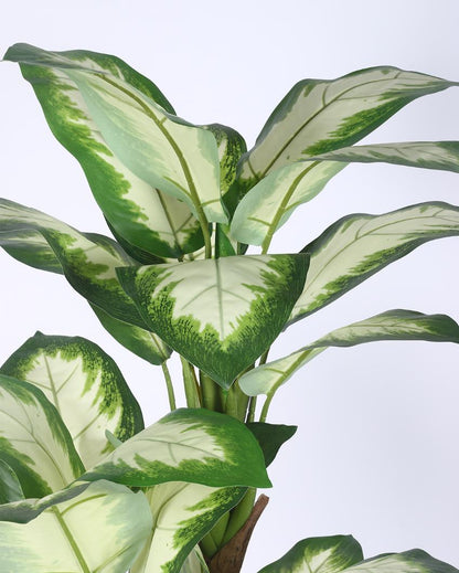 White Dieffenbachia Artificial Plant with Black Pot | 5 ft