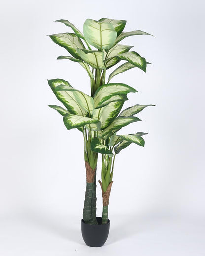 White Dieffenbachia Artificial Plant with Black Pot | 5 ft