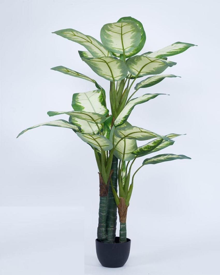 White Dieffenbachia Artificial Plant with Black Pot | 5 ft