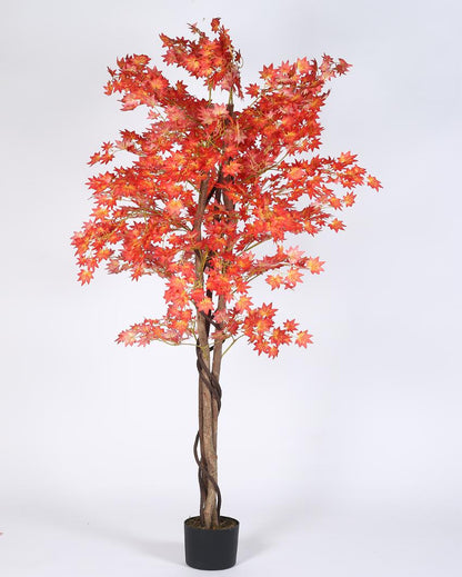 Mini Maple Artificial Plant with Black Pot | 5 ft