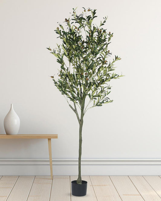 Olive Artificial Plant with Black Pot | 6 ft