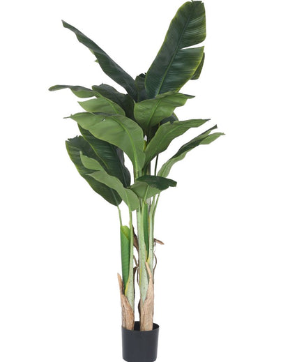 Artificial Bird Of Paradise Plastic Plants Banana With Black Pot