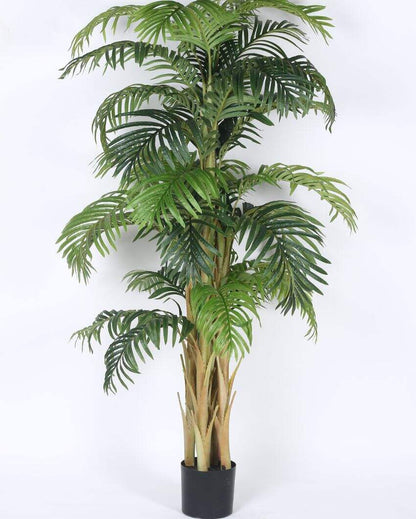 Artificial Areca Palm Plastic Plants With Black Pot | 6 Feet