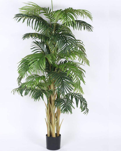 Artificial Areca Palm Plastic Plants With Black Pot | 6 Feet