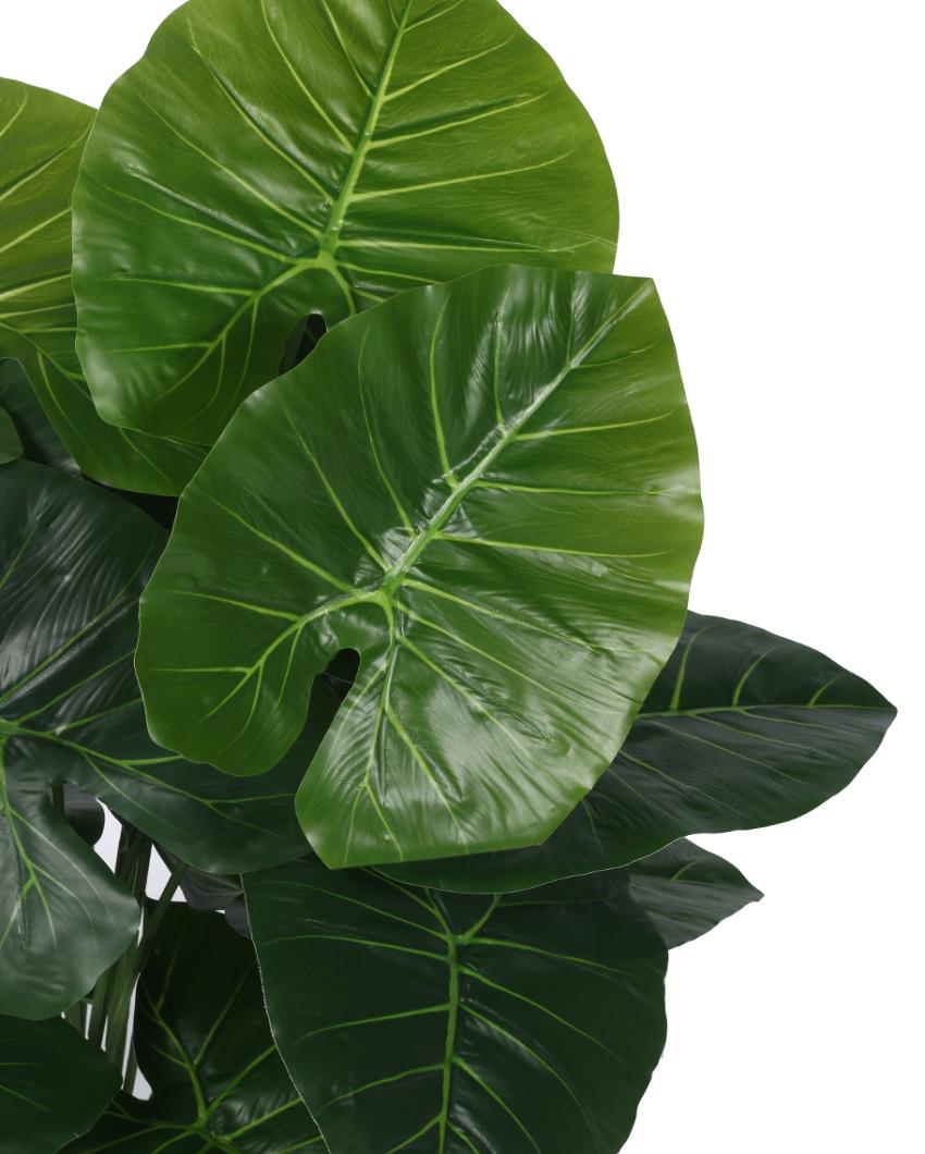 Dieffenbachia Real Touch Artificial Plant with Black Pot | 2 ft