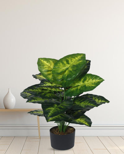 Dieffenbachia Real Touch Artificial Plant with Black Pot | 3 ft