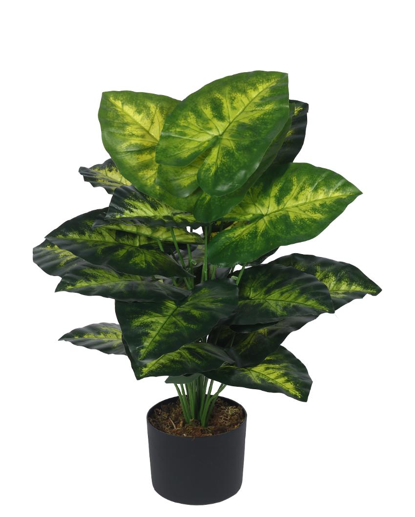 Dieffenbachia Real Touch Artificial Plant with Black Pot | 3 ft